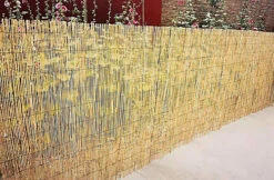 1.8m X 4m Split Natural Peeled Reed Screening Fencing Panel Bamboo Fence Roll Garden -Leaf Shop 1 8m x 4m split natural peeled reed screening fencing panel bamboo fence roll garden8702815297768 04c MP