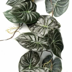 Leaf 120cm Artificial Trailing Hanging Plant Realistic Alocasia Dragon Scale Dark 7 Leaf 120cm Artificial Trailing Hanging Plant Realistic Alocasia Dragon Scale Dark -Leaf Shop 120cm artificial trailing hanging plant realistic alocasia dragon scale dark5060950405077 03c MP