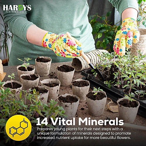 25L Jazooli No.2 Compost Fruit Vegetable Plant Planter Growing Potting Soil 11KG 5 25L Jazooli No.2 Compost Fruit Vegetable Plant Planter Growing Potting Soil 11KG - Image 3