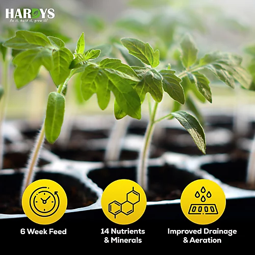 25L Jazooli No.2 Compost Fruit Vegetable Plant Planter Growing Potting Soil 11KG 6 25L Jazooli No.2 Compost Fruit Vegetable Plant Planter Growing Potting Soil 11KG - Image 4