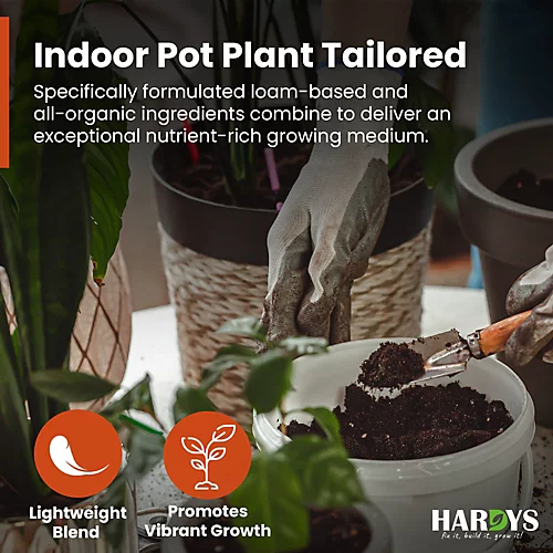 25L Jazooli No.3 Compost Fruit Vegetable Plant Planter Growing Potting Soil 11KG 4 25L Jazooli No.3 Compost Fruit Vegetable Plant Planter Growing Potting Soil 11KG - Image 2