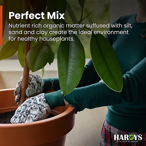 25L Jazooli No.3 Compost Fruit Vegetable Plant Planter Growing Potting Soil 11KG 5 25L Jazooli No.3 Compost Fruit Vegetable Plant Planter Growing Potting Soil 11KG - Image 3