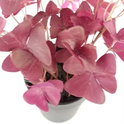 Leaf 30cm Artificial Plant Realistic Purple Shamrock Pink Flowers Potted -Leaf Shop 30cm artificial plant realistic purple shamrock pink flowers potted5060950405107 02c MP