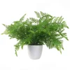 Leaf 30cm Artificial Potted Southern Wood Fern -Leaf Shop 30cm artificial potted southern wood fern5060532978555 01c MP