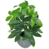 Leaf 50cm Artificial Money Tree Plant -Leaf Shop 50cm artificial money tree plant5060532977954 01c MP