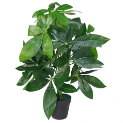 Leaf 50cm Artificial Money Tree Plant -Leaf Shop 50cm artificial money tree plant5060532977954 04c MP