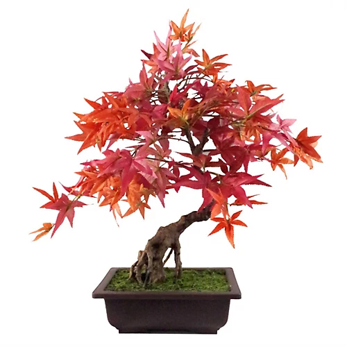 Leaf 50cm Artificial Red Maple Bonsai Tree 3 Leaf 50cm Artificial Red Maple Bonsai Tree