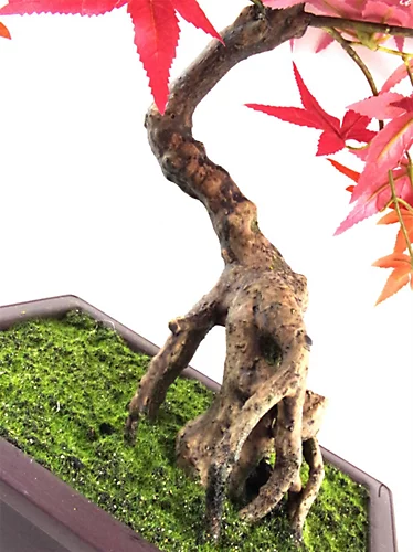 Leaf 50cm Artificial Red Maple Bonsai Tree 5 Leaf 50cm Artificial Red Maple Bonsai Tree - Image 3