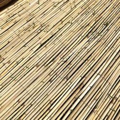 5m X 1.5m Bamboo Screening Roll Natural Fence Panel Peeled Reed Fencing Outdoor Garden -Leaf Shop 5m x 1 5m bamboo screening roll natural fence panel peeled reed fencing outdoor garden9664367725917 03c MP