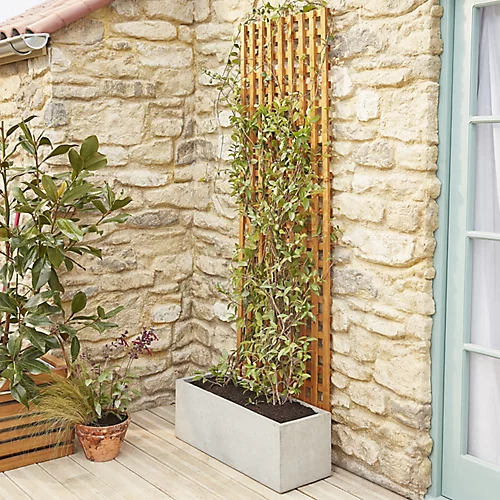 6ft Pine Trellis Panel (W)122cm X (H)183cm 6 6ft Pine Trellis Panel (W)122cm X (H)183cm - Image 4