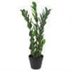 Leaf 75cm Artificial Zanzibar Green Gem Zamioculcas Succulent Indoor Plant -Leaf Shop 75cm artificial zanzibar green gem zamioculcas succulent indoor plant5060532977909 01c MP