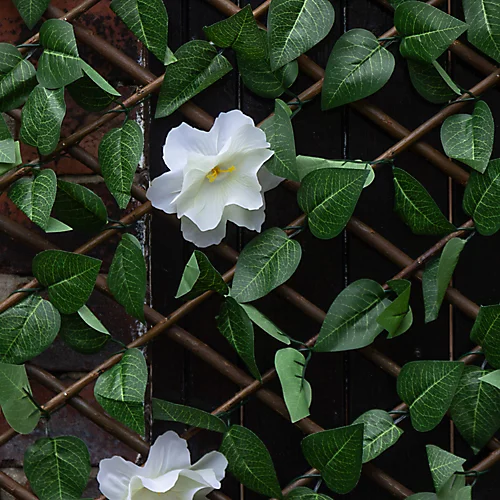 Apollo Apple Leaf Willow Trellis Panel (W)200cm X (H)100cm 4 Apollo Apple Leaf Willow Trellis Panel (W)200cm X (H)100cm - Image 2