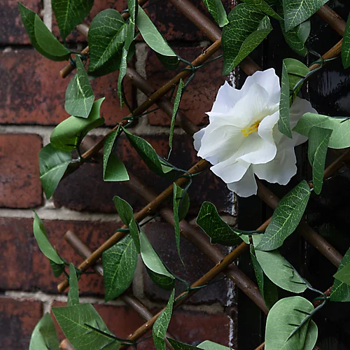 Apollo Apple Leaf Willow Trellis Panel (W)200cm X (H)100cm 5 Apollo Apple Leaf Willow Trellis Panel (W)200cm X (H)100cm - Image 3