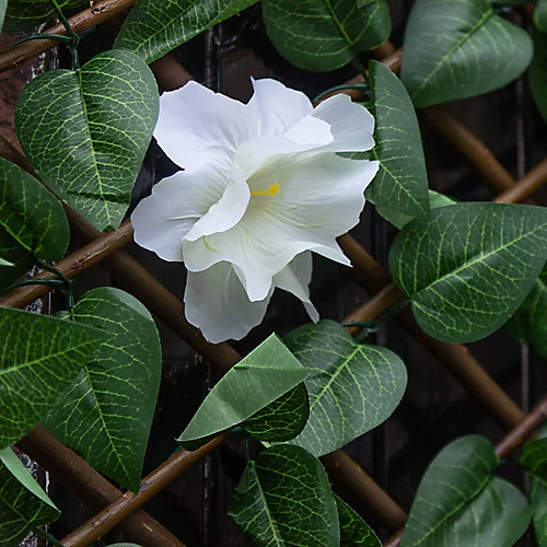 Apollo Apple Leaf Willow Trellis Panel (W)200cm X (H)100cm 6 Apollo Apple Leaf Willow Trellis Panel (W)200cm X (H)100cm - Image 4