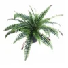 Leaf Artificial Boston Fern Plant - 60cm Boston Fern -Leaf Shop artificial boston fern plant 60cm boston fern5060532971044 01c MP