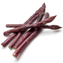 Asparagus Pacific Purple Bare Root Crowns - Grow Your Own Bareroot, Fresh Vegetable Plants, Ideal For UK Gardens (10 Pack) -Leaf Shop asparagus pacific purple bare root crowns grow your own bareroot fresh vegetable plants ideal for uk gardens 10 pack 5059442056088 02c MP