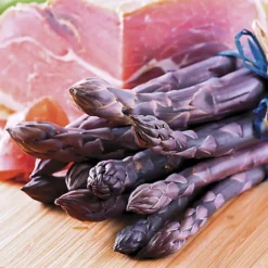 Asparagus Pacific Purple Bare Root Crowns - Grow Your Own Bareroot, Fresh Vegetable Plants, Ideal For UK Gardens (10 Pack) -Leaf Shop asparagus pacific purple bare root crowns grow your own bareroot fresh vegetable plants ideal for uk gardens 10 pack 5059442056088 03c MP