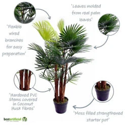 Best Artificial 3ft - 90cm Spider Finger Palm Tree -Leaf Shop best artificial 3ft 90cm spider finger palm tree5060256548577 03c MP