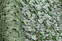 Best Artificial 3m X 1.5m English Ivy Leaf Screening Hedging Roll - UV Protected 7 Best Artificial 3m X 1.5m English Ivy Leaf Screening Hedging Roll - UV Protected -Leaf Shop best artificial 3m x 1 5m english ivy leaf screening hedging roll uv protected5060256547150 02c MP
