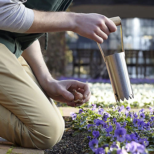 Burgon & Ball Bulb Planter 4 Burgon & Ball Bulb Planter - Image 2