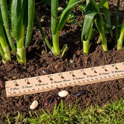 Burgon & Ball Non-foldable Wood Ruler, (L)0.33m -Leaf Shop burgon ball non foldable wood ruler l 0 33m5019360011149 01i bq