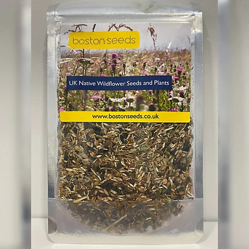 Cornfield Annual Wildflower Seed BS9P 100% (250 G) 5 Cornfield Annual Wildflower Seed BS9P 100% (250 G) - Image 3