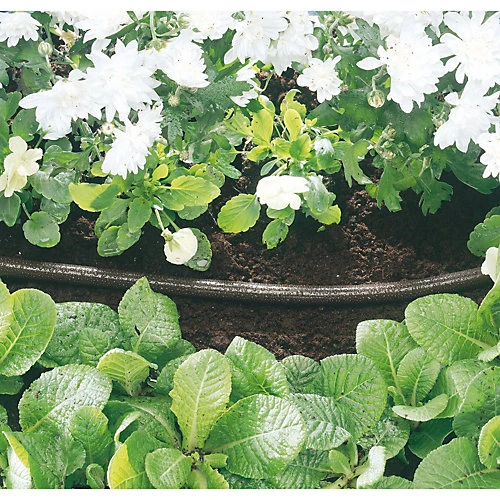 Draper Perforated Soaker Hose, 12mm Bore, 15m, Black 68261 4 Draper Perforated Soaker Hose, 12mm Bore, 15m, Black 68261 - Image 2