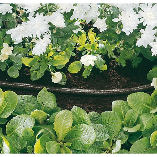 Draper Perforated Soaker Hose, 12mm Bore, 15m, Black 68261 5 Draper Perforated Soaker Hose, 12mm Bore, 15m, Black 68261 - Image 3