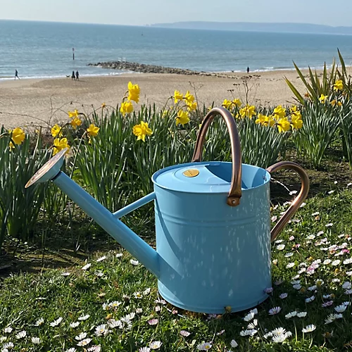 Duck Egg Blue & Copper Metal Watering Can With Rose (9 Litre) 5 Duck Egg Blue & Copper Metal Watering Can With Rose (9 Litre) - Image 3
