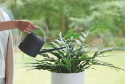 Elho B.for Soft Recycled Plastic 1.7L Watering Can In Anthracite -Leaf Shop elho b for soft recycled plastic 1 7l watering can in anthracite8711904335229 04c MP