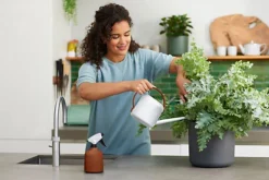 Elho B.for Soft Recycled Plastic 1.7L Watering Can In White 9 Elho B.for Soft Recycled Plastic 1.7L Watering Can In White -Leaf Shop elho b for soft recycled plastic 1 7l watering can in white8711904335243 05c MP