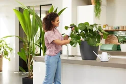 Elho Brussels Recycled Plastic Watering Can 1.8L In White -Leaf Shop elho brussels recycled plastic watering can 1 8l in white8711904303389 03c MP