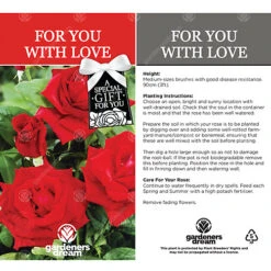For You With Love Red Rose - Outdoor Plant, Ideal For Gardens, Compact Size -Leaf Shop for you with love red rose outdoor plant ideal for gardens compact size5051641538730 03c MP