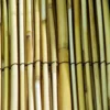 Garden Reed / Read Screening 1m X 3m (325mm) -Leaf Shop garden reed read screening 1m x 3m 325mm 5056589186395 01c MP