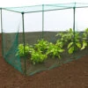 GardenSkill Grow House Fruit Vegetable Frame With Plant Protection Bird Mesh 1.25 X 1.25m H -Leaf Shop gardenskill grow house fruit vegetable frame with plant protection bird mesh 1 25 x 1 25m h5060266502774 01c MP