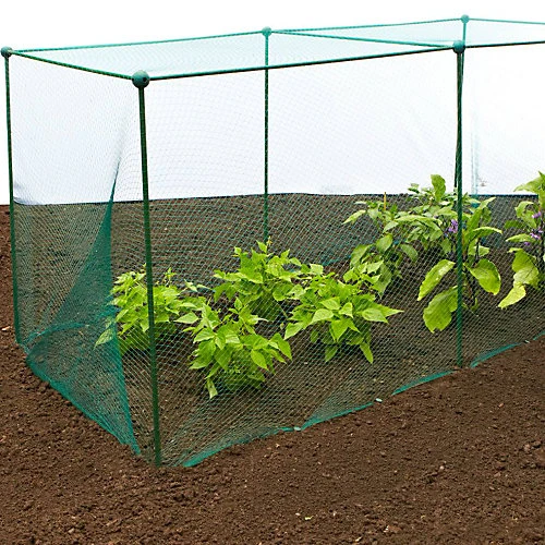 GardenSkill Grow House Fruit Vegetable Frame With Plant Protection Bird Mesh 1.25 X 1.25m H 3 GardenSkill Grow House Fruit Vegetable Frame With Plant Protection Bird Mesh 1.25 X 1.25m H