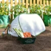 GardenSkill Pop Up Grow Tunnel Cloche Insect Net Protection Cover For Carrots Herbs Flowers 150x60cm H -Leaf Shop gardenskill pop up grow tunnel cloche insect net protection cover for carrots herbs flowers 150x60cm h5060266502262 01c MP