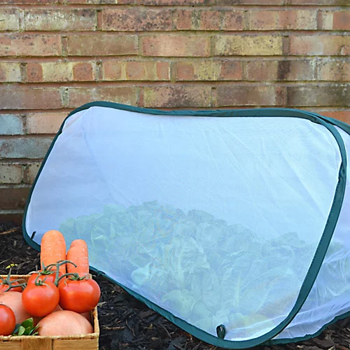 GardenSkill Pop Up Grow Tunnel Cloche Insect Net Protection Cover For Carrots Herbs Flowers 150x60cm H 6 GardenSkill Pop Up Grow Tunnel Cloche Insect Net Protection Cover For Carrots Herbs Flowers 150x60cm H - Image 4