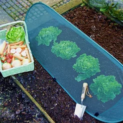 GardenSkill Pop Up Mini Grow Tunnel Cloche Vegetable Plant Fruit Cover 100x40cm H -Leaf Shop gardenskill pop up mini grow tunnel cloche vegetable plant fruit cover 100x40cm h5060266502330 03c MP