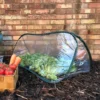 GardenSkill Pop Up Mini Polytunnel Greenhouse Grow House Plant Fruit Cloche 100x40cm H -Leaf Shop gardenskill pop up mini polytunnel greenhouse grow house plant fruit cloche 100x40cm h5060266502316 01c MP