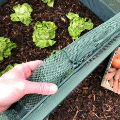 GardenSkill Pop Up Strawberry & Salad Fruit Cage Bird Netting Pest Protection Cover 1.25m X 0.75m H -Leaf Shop gardenskill pop up strawberry salad fruit cage bird netting pest protection cover 1 25m x 0 75m h5060266502231 04c MP