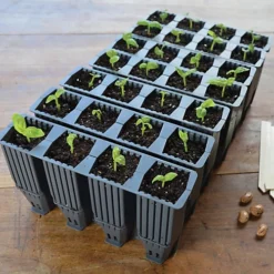 Garland 28 Durable Plant Cell Deep Root Success Kit - Green 7 Garland 28 Durable Plant Cell Deep Root Success Kit - Green -Leaf Shop garland 28 durable plant cell deep root success kit green5031670004208 03c MP