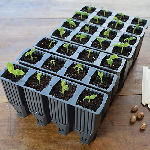 Garland 28 Durable Plant Cell Deep Root Success Kit - Green 5 Garland 28 Durable Plant Cell Deep Root Success Kit - Green - Image 3