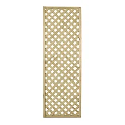 Green Pine Trellis (W)60cm X (H)180cm