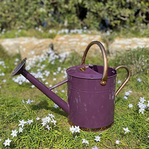 Heritage Heather & Copper Metal Watering Can With Rose (9 Litre) 4 Heritage Heather & Copper Metal Watering Can With Rose (9 Litre) - Image 2