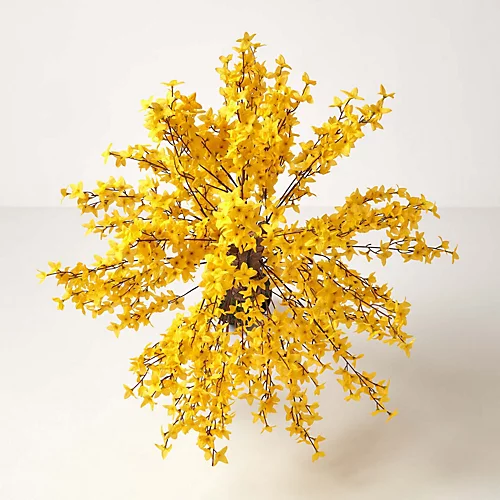 Homescapes Artificial Forsythia Tree - Yellow Silk Flowers 4 Homescapes Artificial Forsythia Tree - Yellow Silk Flowers - Image 2