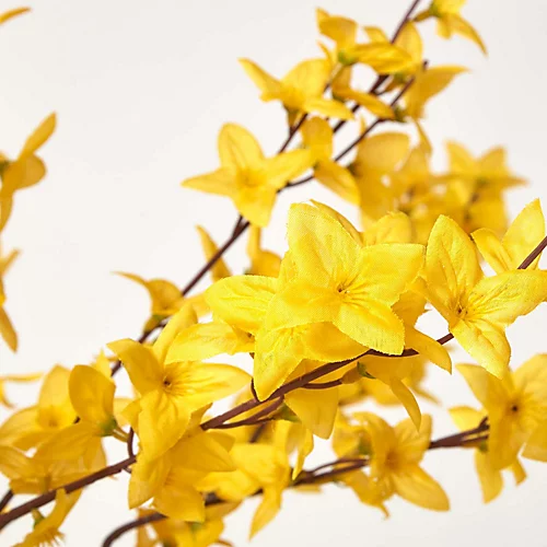 Homescapes Artificial Forsythia Tree - Yellow Silk Flowers 6 Homescapes Artificial Forsythia Tree - Yellow Silk Flowers - Image 4