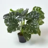 Homescapes Artificial Monstera Plant, 60 Cm Tall -Leaf Shop homescapes artificial monstera plant 60 cm tall5056280707431 01c MP