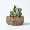 Homescapes Echinocactus Artificial Cactus In Round Wooden Planter, 15 Cm Tall