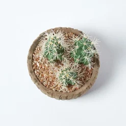 Homescapes Echinocactus Artificial Cactus In Round Wooden Planter, 15 Cm Tall -Leaf Shop homescapes echinocactus artificial cactus in round wooden planter 15 cm tall5055967493971 03c MP